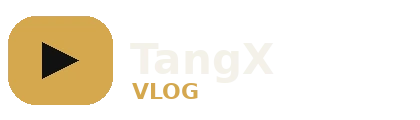 糖心vlog